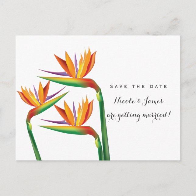 Bird of Paradise Wedding Save The Date Postcard (Front)