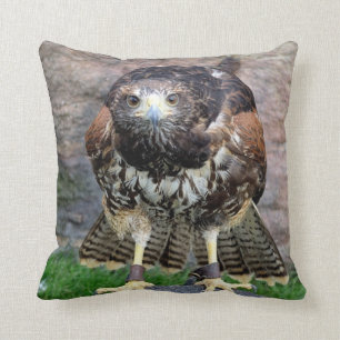 Bird of Prey #15-Red Tailed Hawk Throw Pillow
