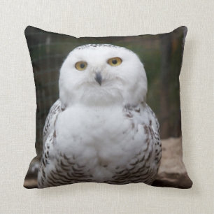 Bird of Prey #19-Snowy Owl Throw Pillow