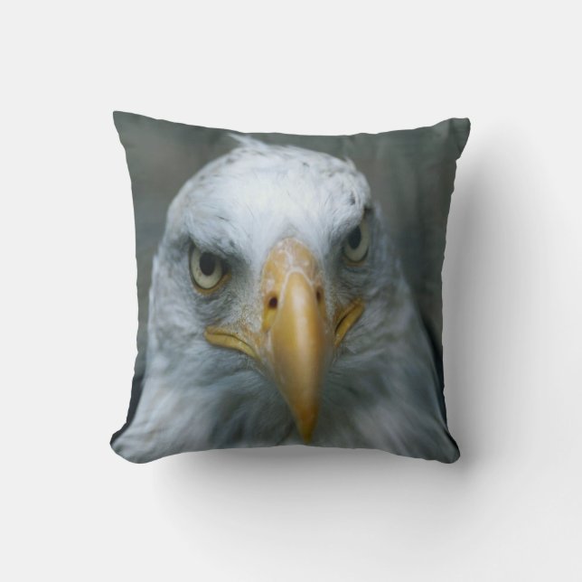 Bird of Prey #21-Bald Eagle Throw Pillow (Front)