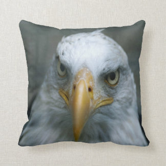 Bird of Prey #21-Bald Eagle Throw Pillow