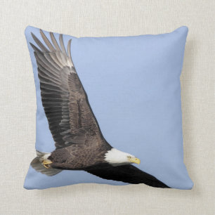 Bird of Prey #22- bald eagle Throw Pillow