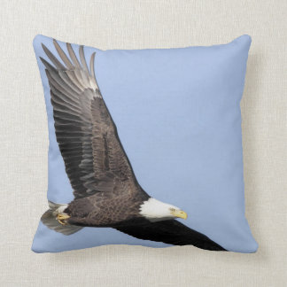Bird of Prey #22- bald eagle Throw Pillow