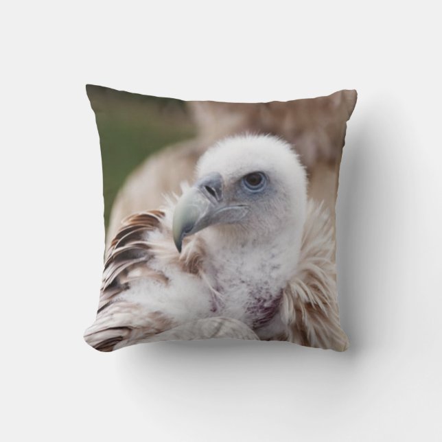 Bird of Prey #7-Vulture Throw Pillow (Front)