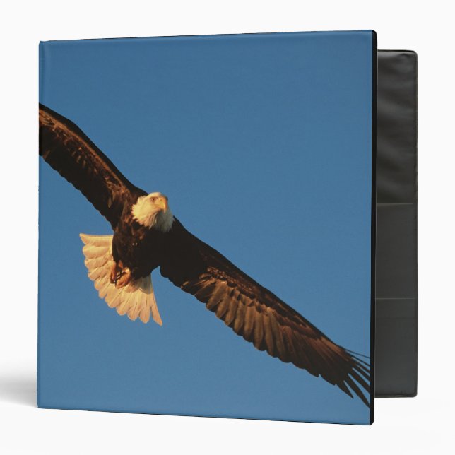 Bird of Prey, Bald Eagle in flight, Kachemak Binder (Front/Inside)