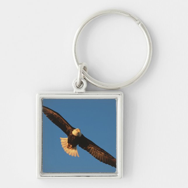 Bird of Prey, Bald Eagle in flight, Kachemak Keychain (Front)