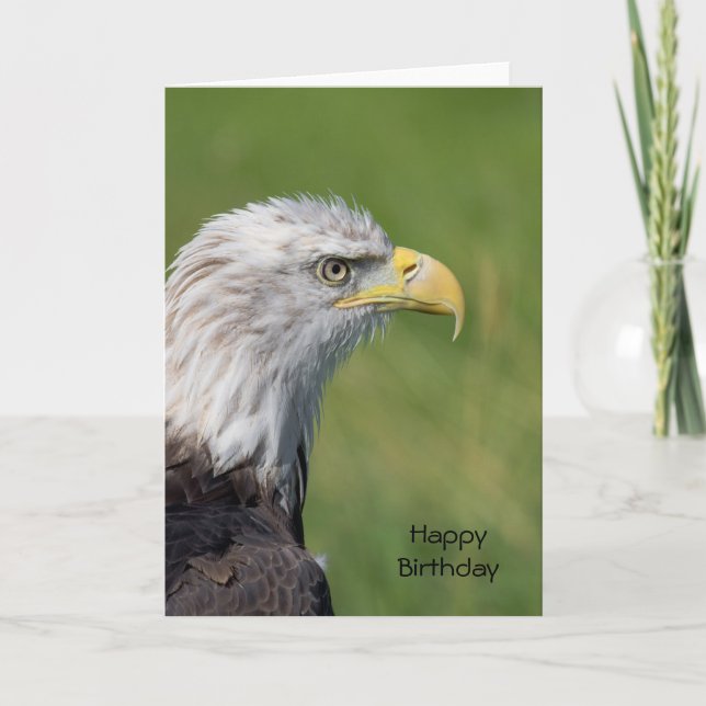 Bird of Prey Happy Birthday Card (Front)