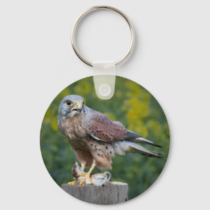 Bird of Prey Keychain/Keyring Keychain