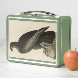 Bird of Washington from Audubon's Birds of America Metal Lunch Box