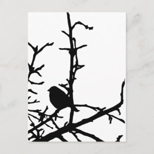 Bird on a Branch Postcard