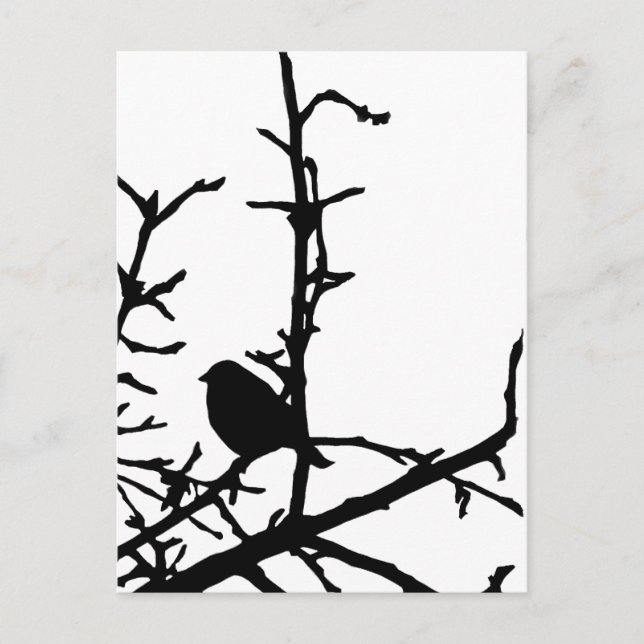 Bird on a Branch Postcard (Front)