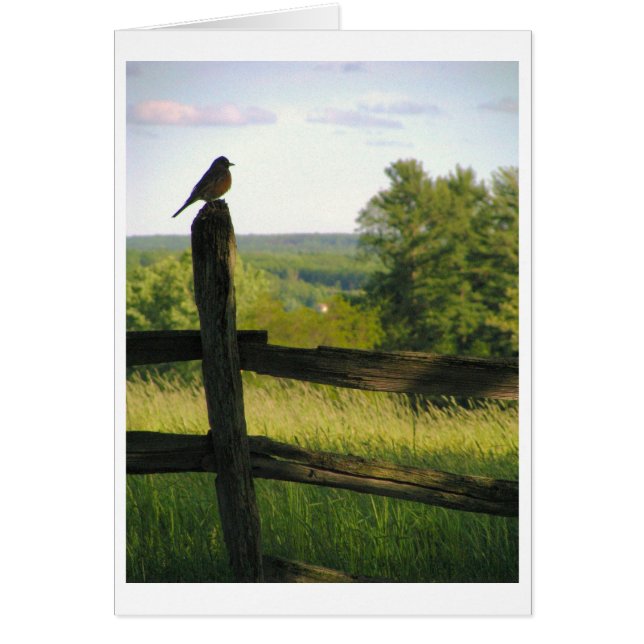 Bird on a Fence Card (Front)