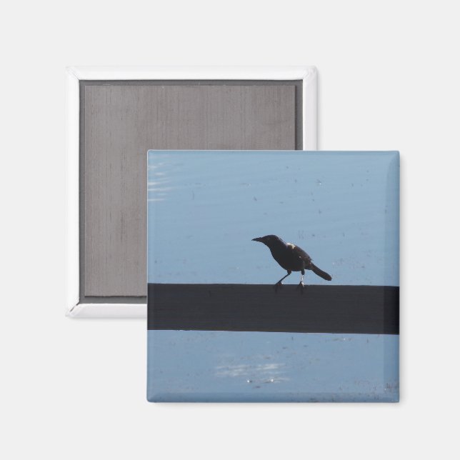 Bird On a Fence Magnet (Front/Back)