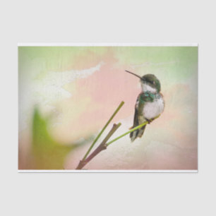 Bird on a Twig & Pastel Watercolor Tissue Paper
