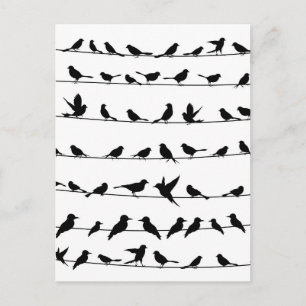 Bird on a wire4 postcard