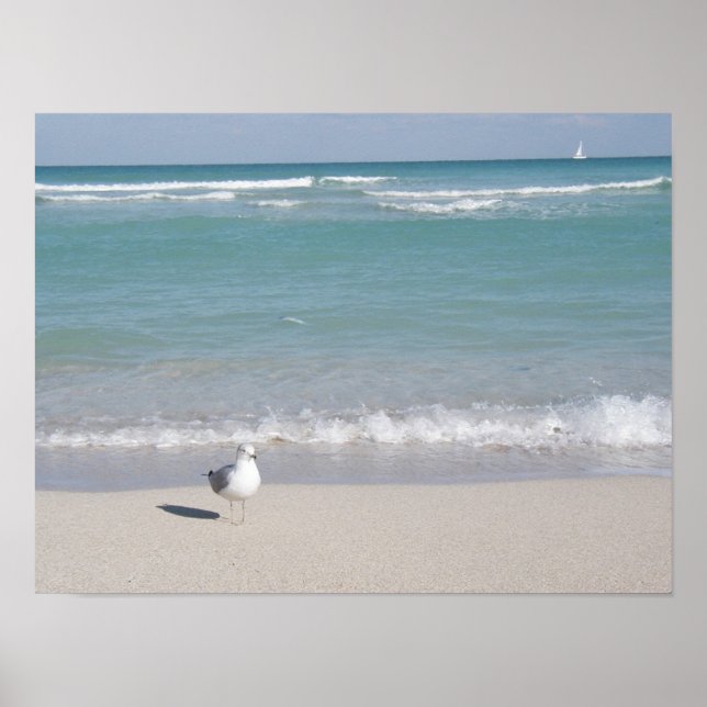 Bird on beach poster (Front)