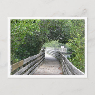 Bird on Boardwalk Postcard