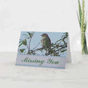 Bird On Branch Card