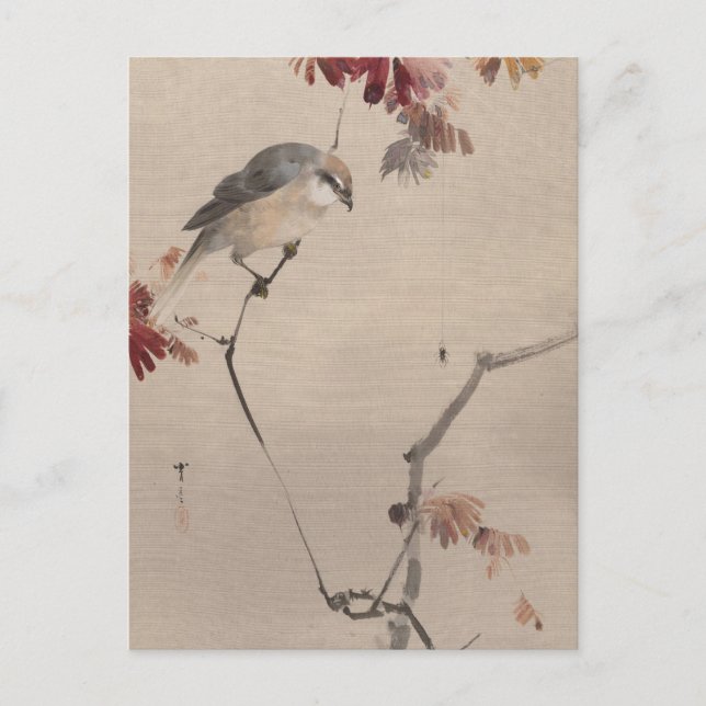Bird on Branch Watching Spider | Watanabe Seitei Postcard (Front)