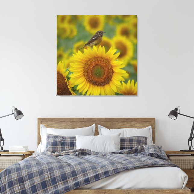 Bird on Sunflower - Nature Photography Print (Insitu(Bedroom))