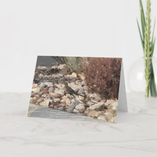 Bird on the Rocks Folded Greeting Card