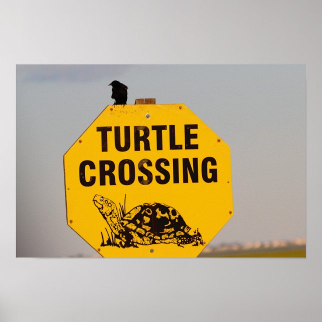 Bird on Turtle Crossing Sign Poster (Front)