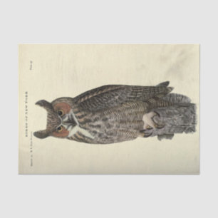 Bird Owl Ephemera Decoupage Tissue Paper