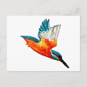 Bird Painting Flying Kingfisher Postcard
