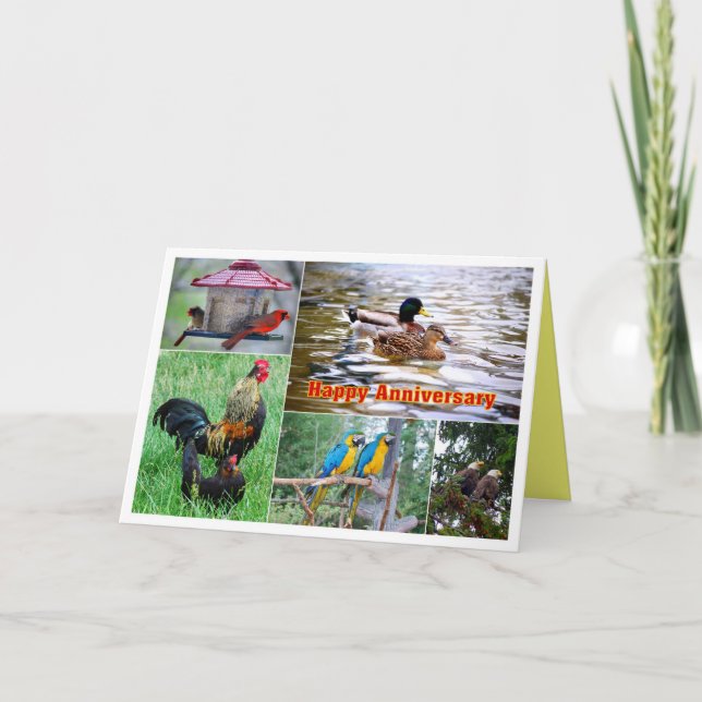 Bird Pairs Collage Happy Anniversary Card (Front)