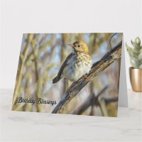Bird Perched on a Branch - Birthday Card