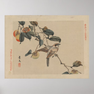 Bird Perched on Persimmon Tree - Japanese Vintage Poster