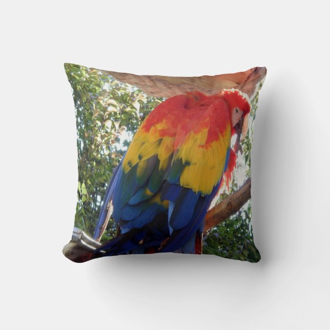 Bird Photo #16-Scarlet Macaw Throw Pillow (Front)