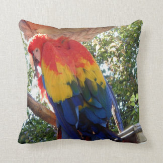 Bird Photo #16-Scarlet Macaw Throw Pillow