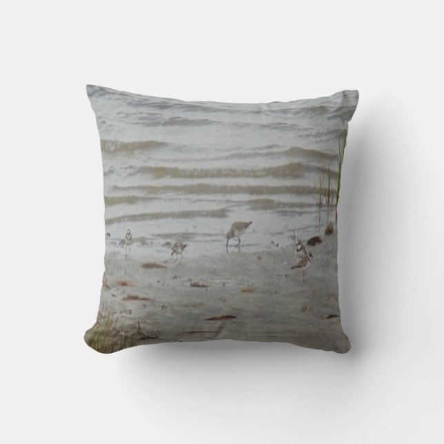 bird photo #19- piping plover and killdeer throw pillow (Front)