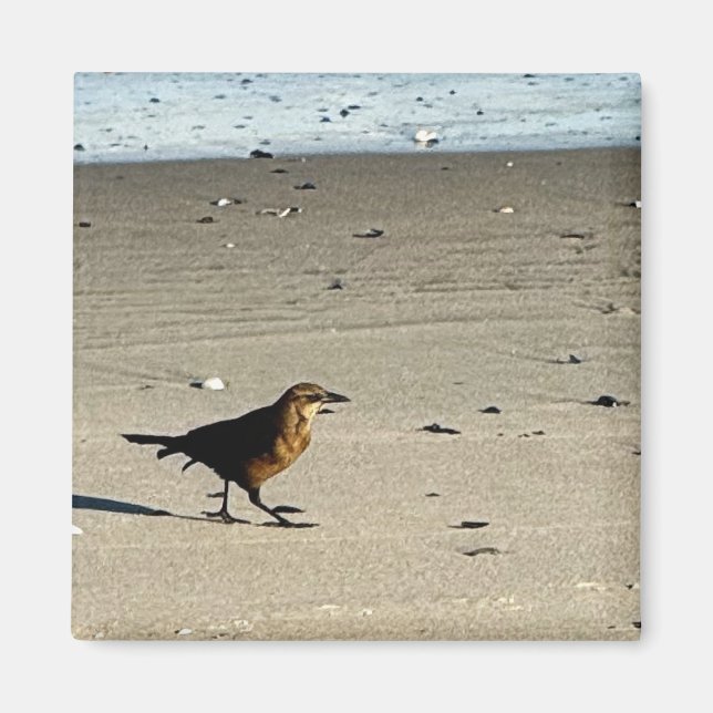 Bird Photo Magnet  (Front)