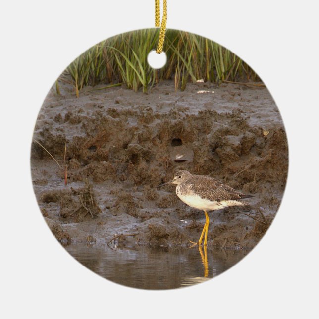 Bird Photo Ornament (Front)