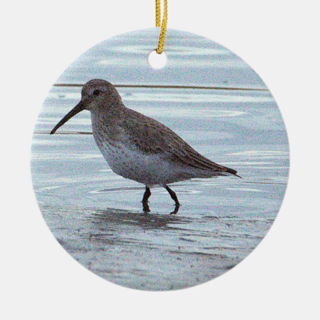 Bird Photo Ornament  (Front)