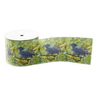 Bird Photo Ribbon Grosgrain Ribbon