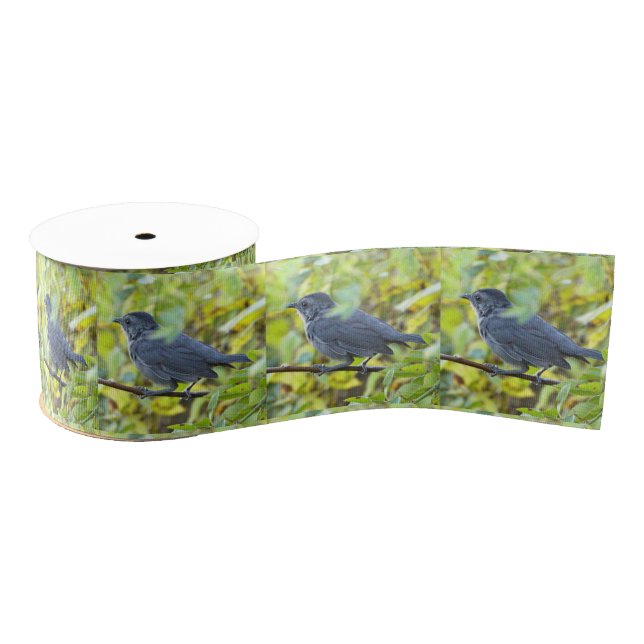 Bird Photo Ribbon Grosgrain Ribbon (Spool)