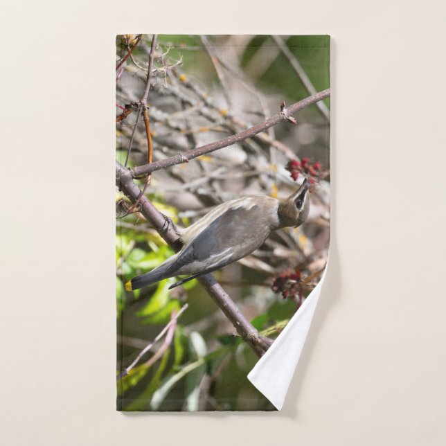 Bird Photography, Bohemian Waxwing Bath Towel Set (Hand Towel)