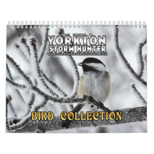 Bird Photography Collection Calendar