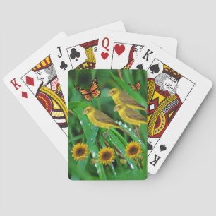 Bird Playing Card Deck