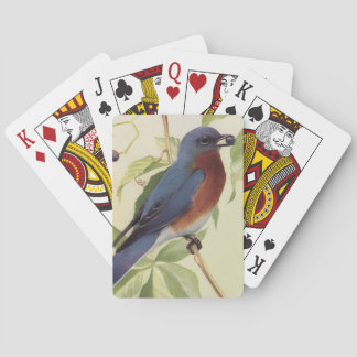 Bird Playing Cards