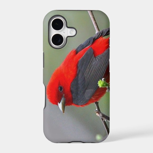 Bird red_iphone (Back)