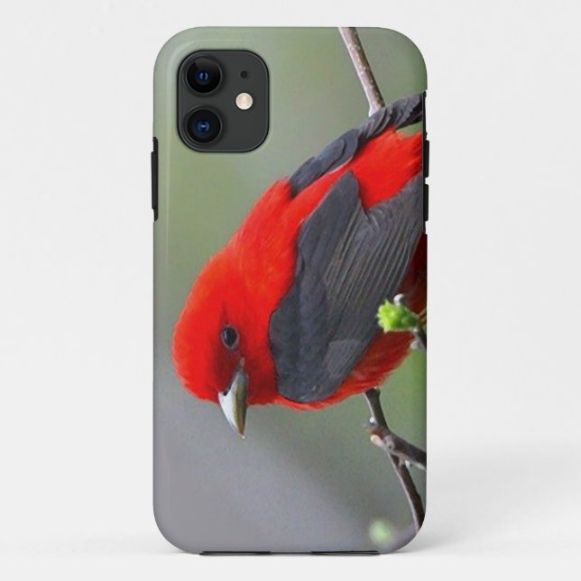 Bird red_iphone Case-Mate iPhone case (Back)