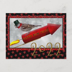 Bird Riding Rocket Vintage Happy New Year Postcard