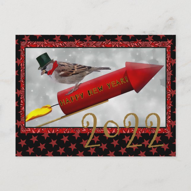 Bird Riding Rocket Vintage Happy New Year Postcard (Front)