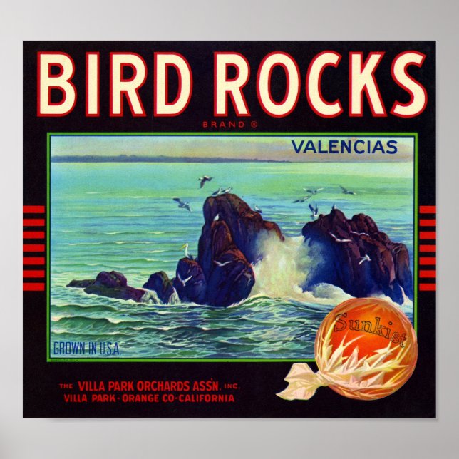 Bird Rocks Brand Orange Fruit Crate Label Poster (Front)