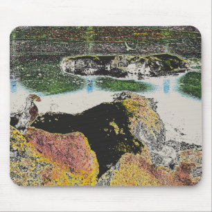 bird rocks mouse pad