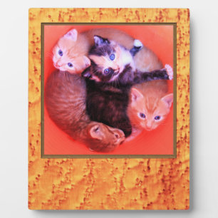 Bird’s Eye Maple Wood Grains Pattern Picture Frame